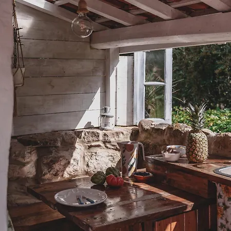 خيمة فخمة Nativo Natureza Pink Wood