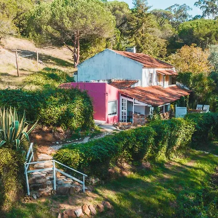 Campo de lujo Nativo Natureza Pink Wood