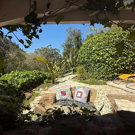 Nativo Natureza Pink Wood Luxe tent Cela (Leira)