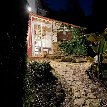 Nativo Natureza Pink Wood Campo de lujo Cela (Leira)